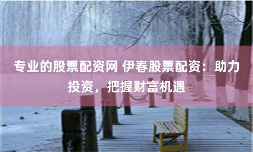 专业的股票配资网 伊春股票配资：助力投资，把握财富机遇