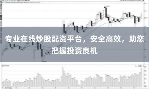 专业在线炒股配资平台，安全高效，助您把握投资良机
